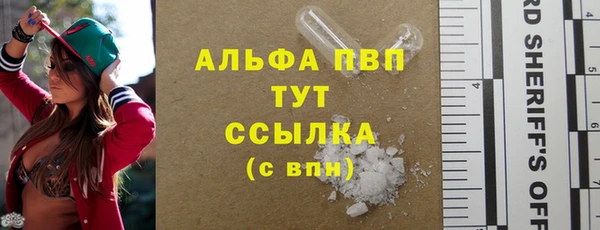 СК Верхний Тагил
