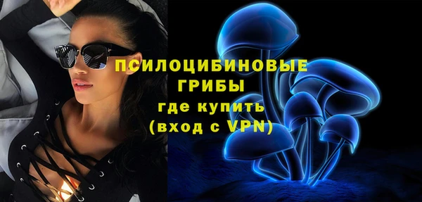 СК Верхний Тагил