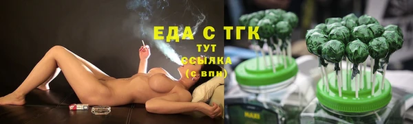 СК Верхний Тагил