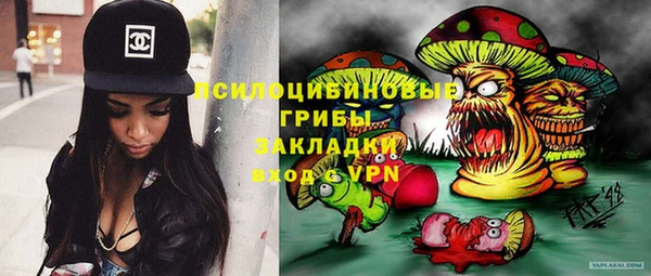 СК Верхний Тагил