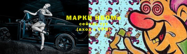 СК Верхний Тагил